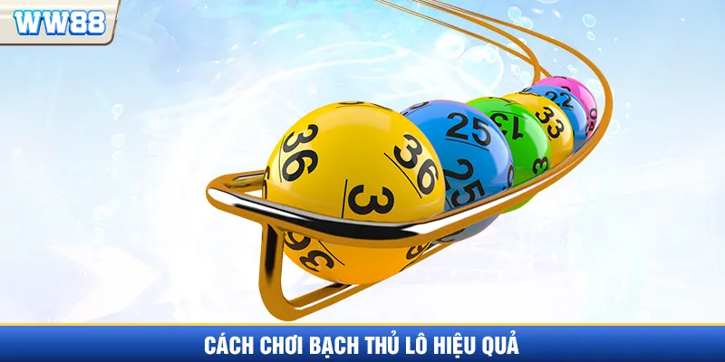 Cách chơi Bạch thủ lô hiệu quả nhất